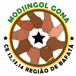 #Mittel (Modjingol_Gona_CE_12_13_14)